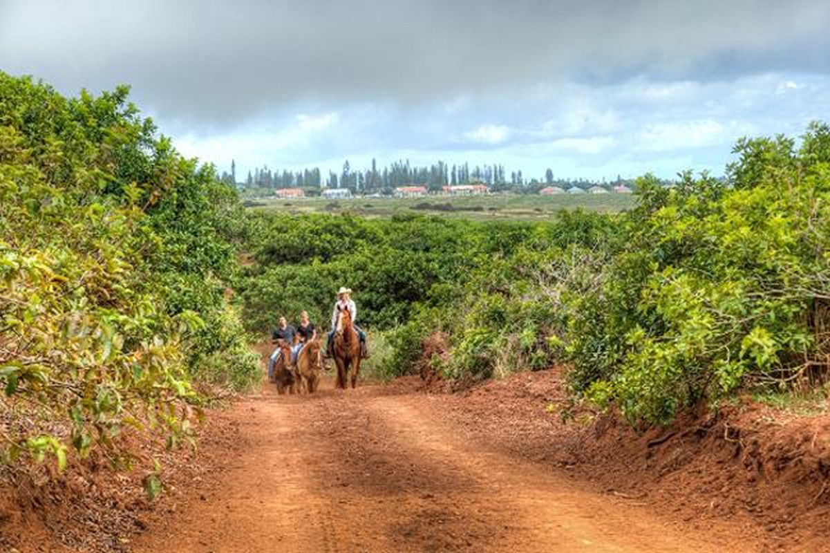 Thu “choi ngong” cua ty phu: Chi 300 trieu USD mua dao o Hawaii-Hinh-6